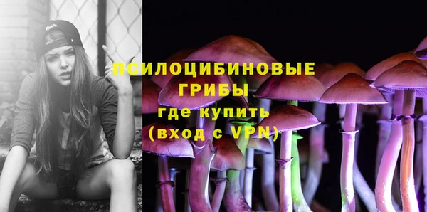 каннабис Анжеро-Судженск