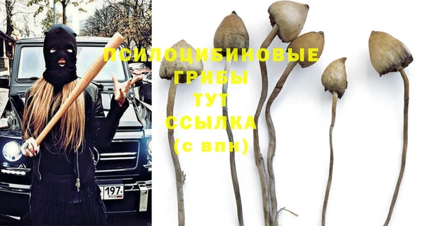 дурь Наволоки