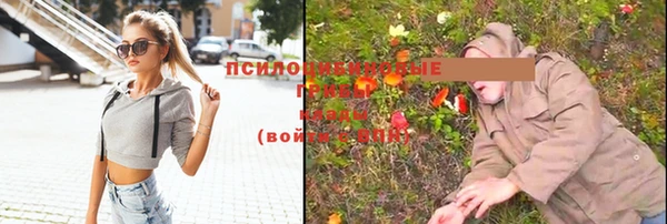 spice Нея