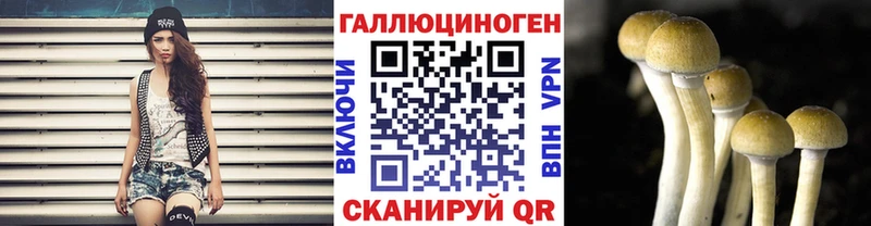 kraken как зайти  Воронеж  Псилоцибиновые грибы MAGIC MUSHROOMS 