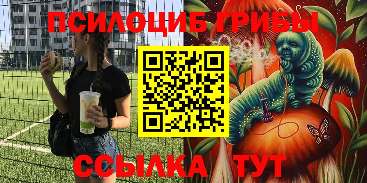 Галлюциногенные грибы прущие грибы Воронеж