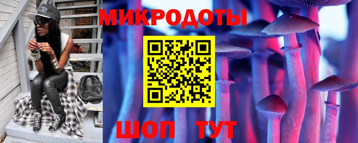 Воронеж  Галлюциногенные грибы Psilocybe  Вход с VPN 
